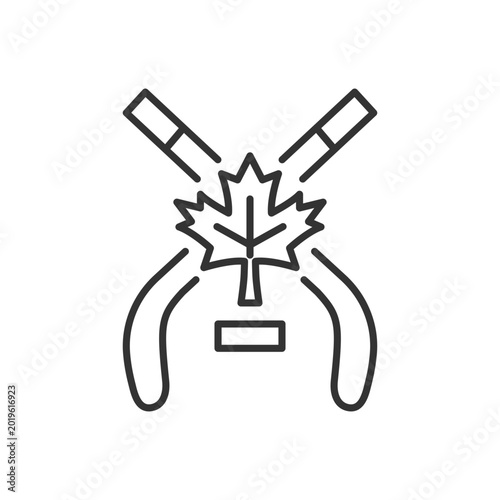 Photography Ice hockey linear icon