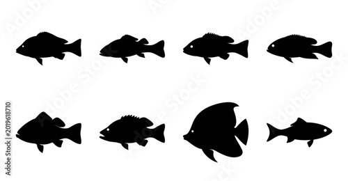 Foto Silhouette Illustration of Various Fish Species in Black and White Format