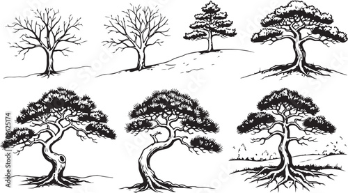 Hand-Drawn Bonsai and Varied Trees Sketch Collection