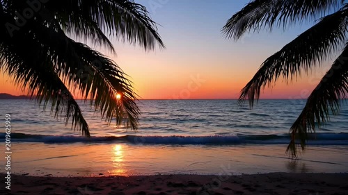 Tropical beach sunset palm trees.