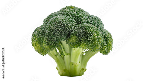 Tableau sur toile Fresh green broccoli head with dense florets, isolated on transparent background