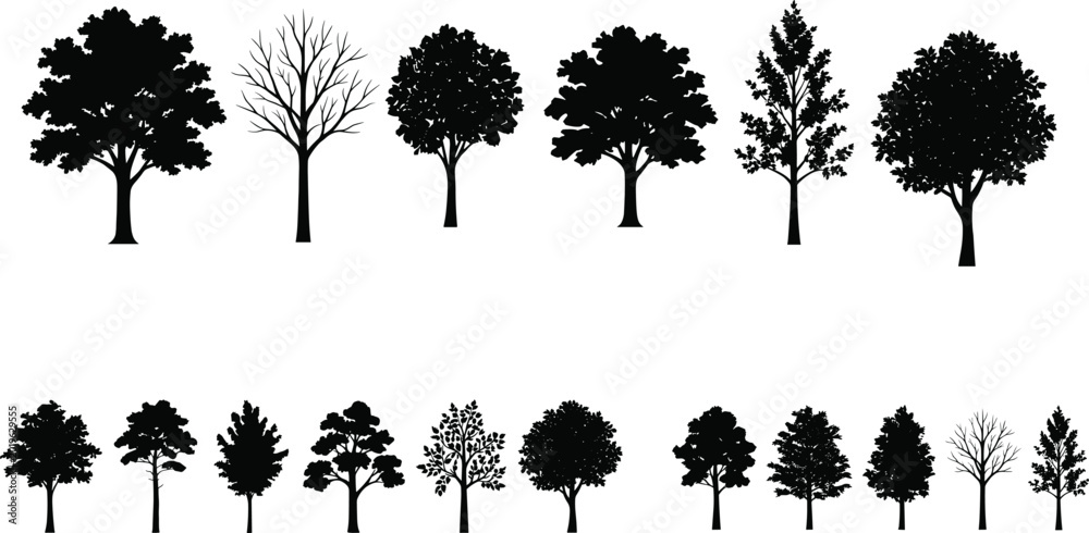 Fototapeta premium Tree Silhouette Set with Forest Trees, Bare Branches and Decorative Nature Vector Illustration Collection