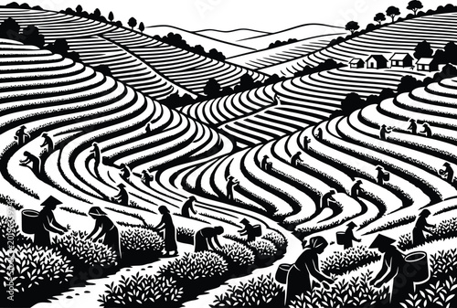 Teas with farmers harvesting traditional asian landscape woodcut illustration