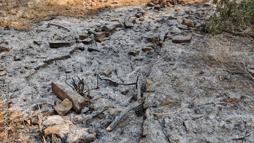 Konstfotografi Wildfire ash covering dry ground after forest fire destruction