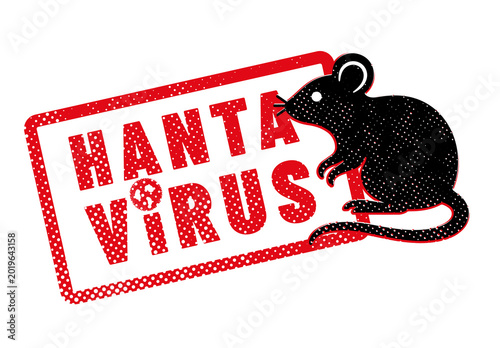 virus HANTAVIRUS ou orthohantavirus