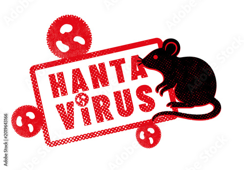 virus HANTAVIRUS ou orthohantavirus