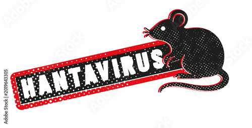 virus HANTAVIRUS ou orthohantavirus