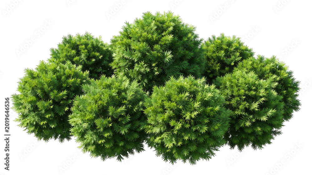 Obraz premium Cluster of Green Spherical Shrubs Isolated on Transparent Background