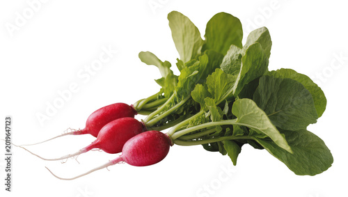 Bild auf Leinwand Fresh red radishes with green leafy tops, isolated on transparent background