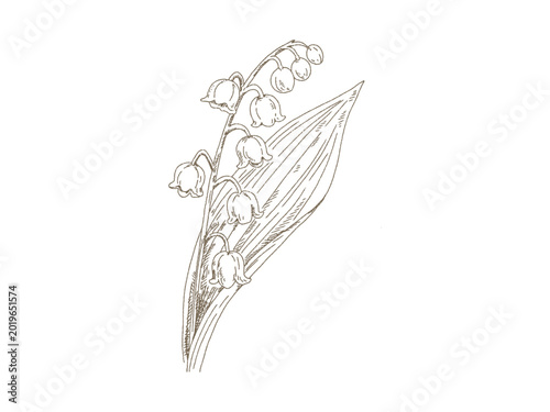 Bild auf Leinwand Vintage Lily of the Valley