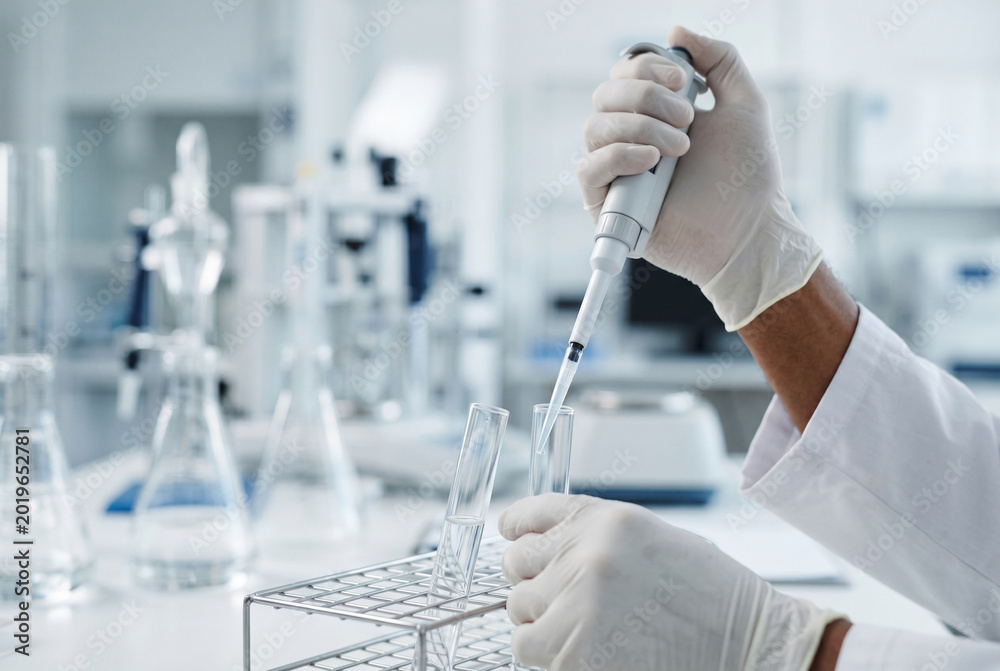 Fototapeta premium Scientist hands using mechanical pipette over lab test tubes