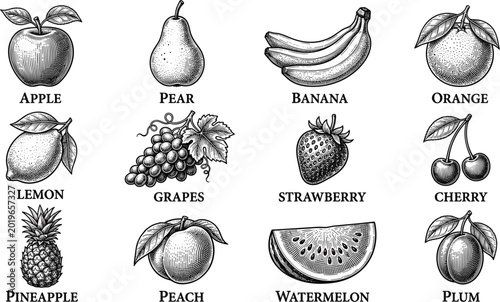 Φωτογραφία Collection of vintage fruit icons with apple pear banana and strawberry for orga
