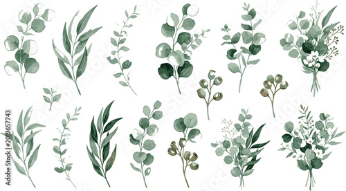 Cuadro en lienzo Collection of elegant watercolor eucalyptus branches and green leaf bouquets for