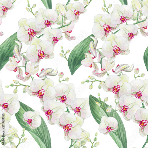 Obraz na plátně Watercolor seamless pattern with white phalaenopsis orchids and lush green leaves