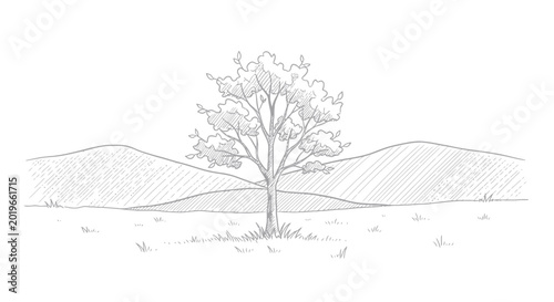 Schilderij op canvas Sketch of a lone tree in a hilly landscape with grass.