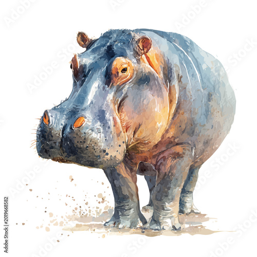 Foto watercolor of Hippopotamus, vector, isolated on a white background