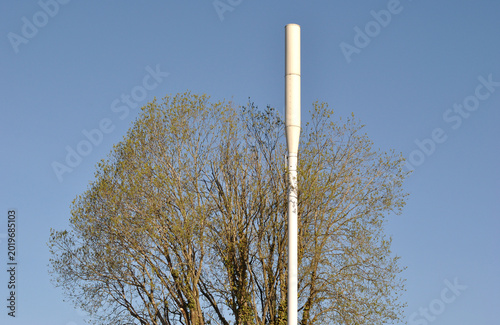 Mobile Phone Mast beside Leafless Tree seen against Blue Sky 