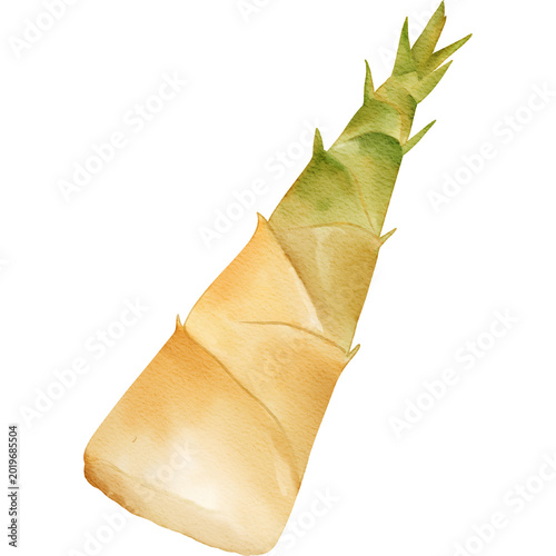Konstfotografi bamboo shoot Illustration