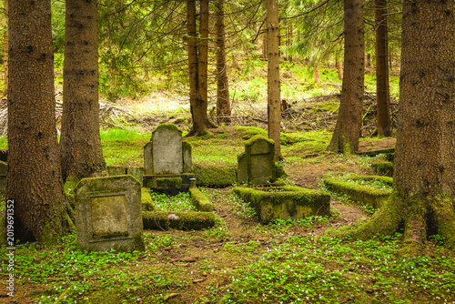 Εκτύπωση καμβά Forgotten stone guardians rest peacefully amidst the verdant embrace of an ancie