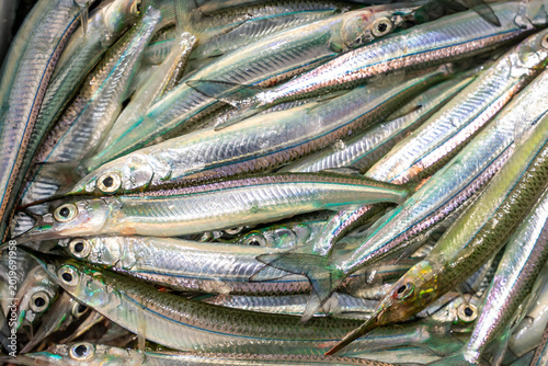Fotografía fresh fish on ice