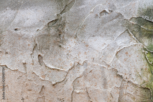 cement