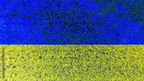 The Ukrainian flag symbol in a rapeseed field. High quality footage in 4k format
