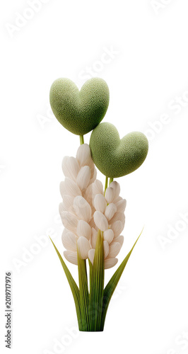 Heart-shaped foliage atop a cluster of fuzzy off-white petals, with green stems against a black background