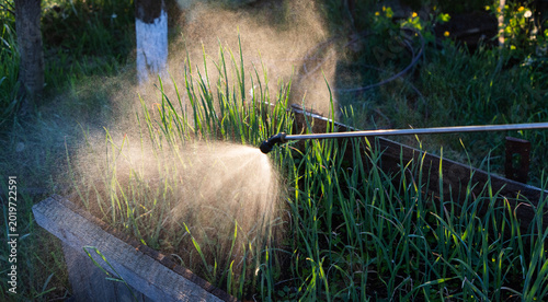 farmer is spraying with pesticides