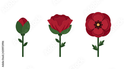 Red flower growth cycle paper cut illustration