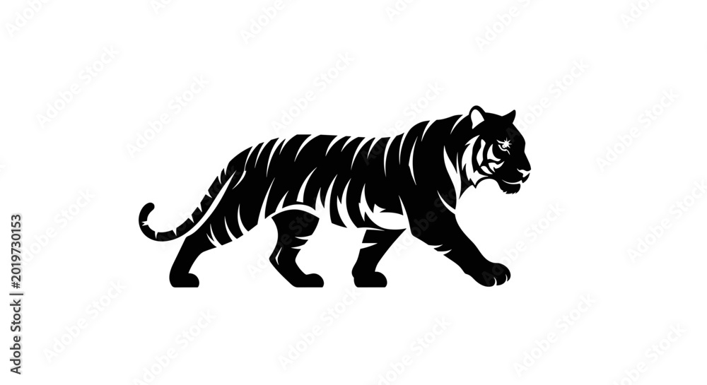 Fototapeta premium Black tiger walking side profile view 1.