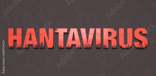 hantavirus 2026 bannière (grunge rouge)