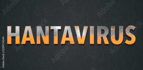 hantavirus bannière (rouille fond noir)