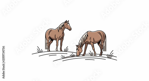 Two horses grazing on a white background with minimal grass outlines