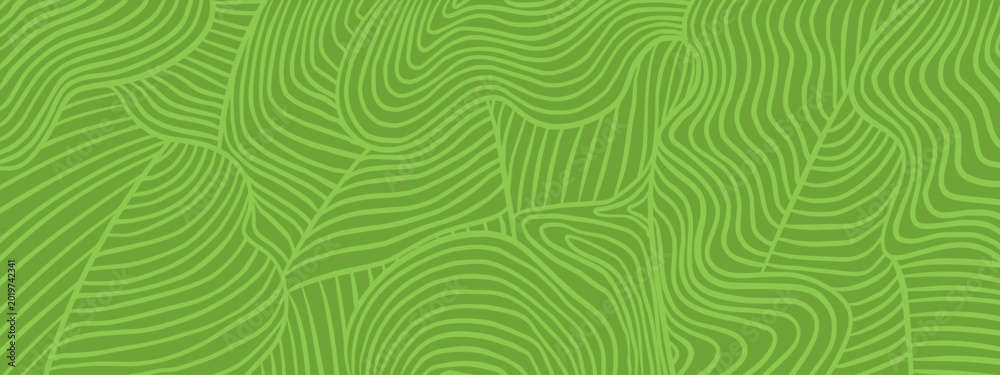 Fototapeta premium Organic vineyard pattern. Wavy stripe fields texture in green line art. Abstract farm landscape