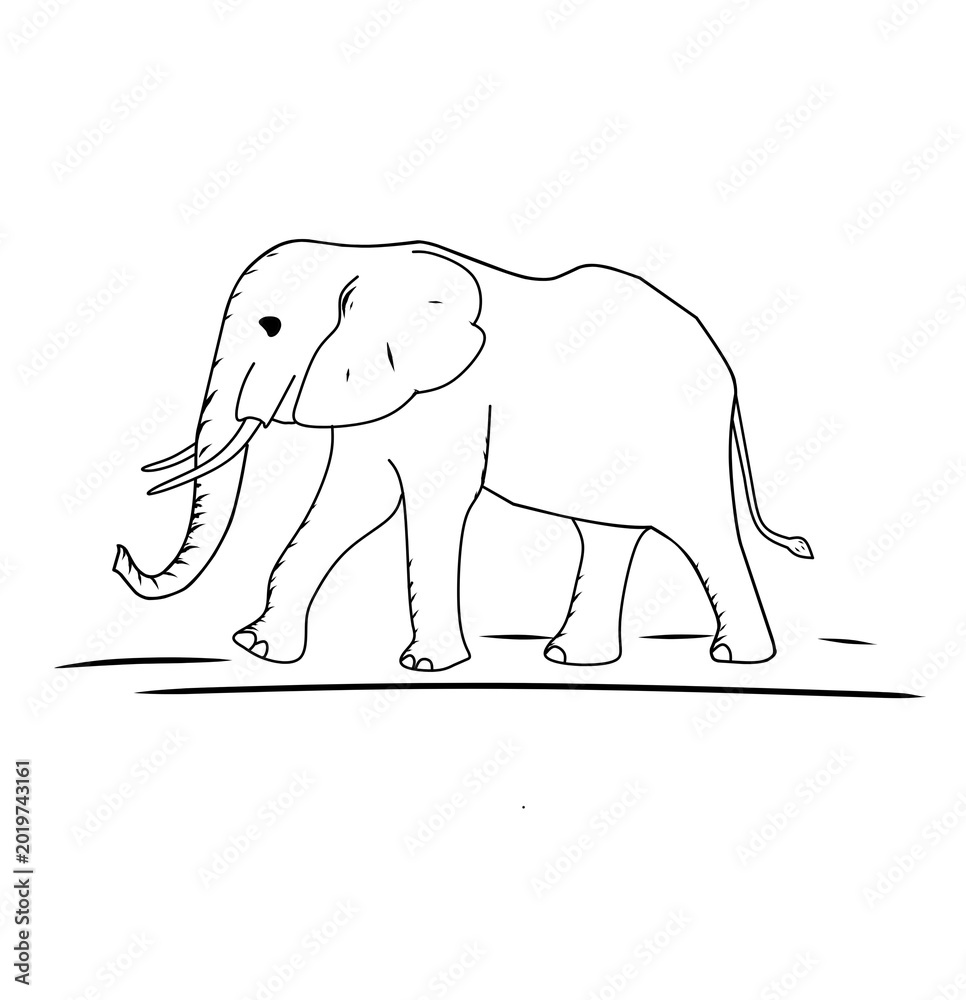 Obraz premium elephant vector illustration