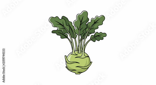 A light green kohlrabi with broad, dark green leaves emerges from its bulbous base