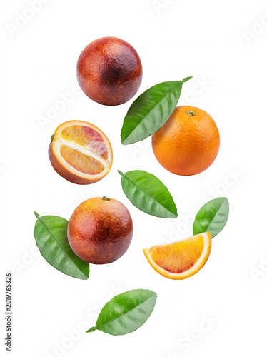 Falling fresh ripe blood oranges, whole and sliced, with green leaves isolated on white background.