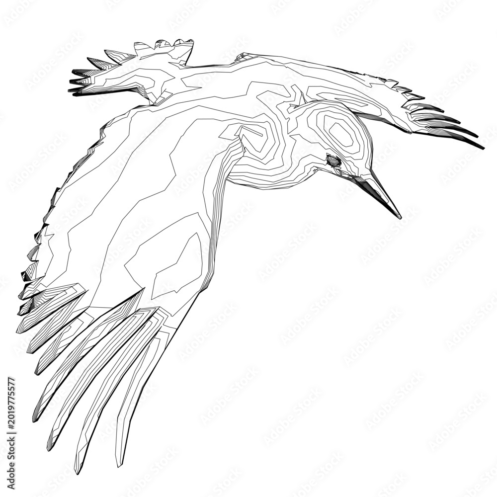 Obraz premium A woodpecker in flight with detailed feathers and focused eyes, its wings spread wide against a white background.