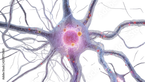 Photos Detailed neuron cell body with nucleus and dendrites, isolated on transparent ba