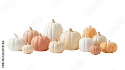 Assortment of decorative pumpkins in muted pastel colors arranged on a white background