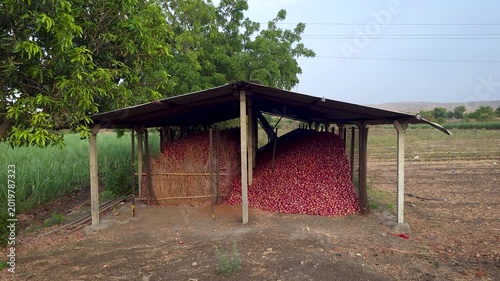 A rural onion storage shed in the Indian countryside, likely in Maharashtra or Gujarat. A large pile of freshly harvested red onions is stored under an open-sided metal roofed structure supported by c