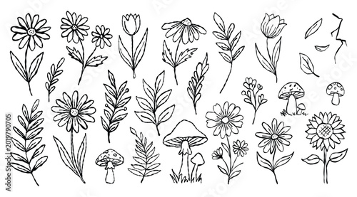 Hand drawn nature doodles featuring various flowers leaves and mushrooms in a simple outline style.