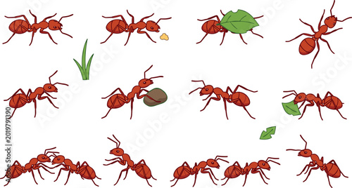 Foto Red fire ants colony character collection carrying leaves and food crumbs in nat