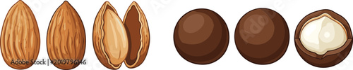 Foto Almond and Macadamia Nut Illustration Collection Featuring Whole Cracked and She