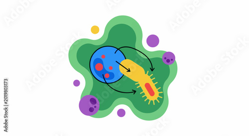 Abstract illustration of a germ attacking a cell