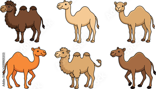 Photos Cute Cartoon Camel Collection Set with Bactrian and Dromedary Species in Differe