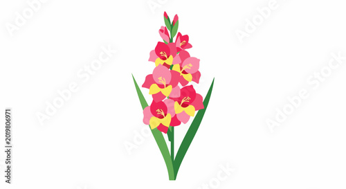 A vibrant pink and yellow gladiolus bloom with green foliage