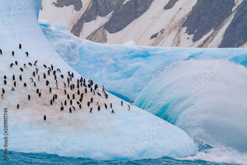 Chinstrap penguins gather on an iceberg in the South Orkneys region of Antarctica during the summer season
