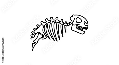 Cartoon Dinosaur Skeleton Outline Drawing Isolated on White Background