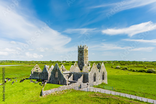 Aerial view of Ross Errilly Friary near Headford, County Galway, Ireland. Historic Franciscan ruins surrounded by green fields of Ireland.